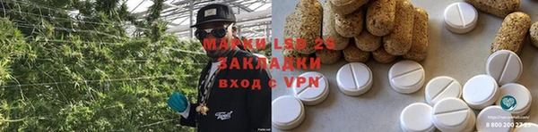 индика Заводоуковск