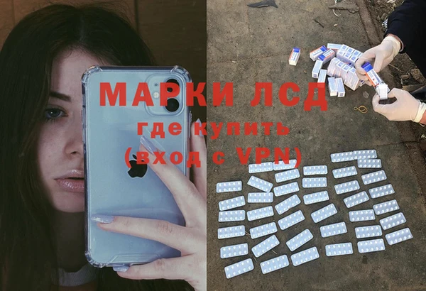 индика Заводоуковск