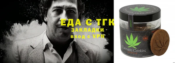 индика Заводоуковск