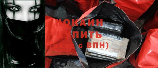 индика Заводоуковск