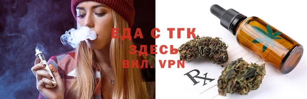 индика Заводоуковск