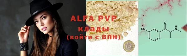 индика Заводоуковск