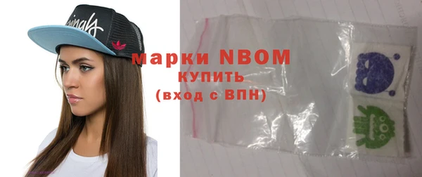 индика Заводоуковск