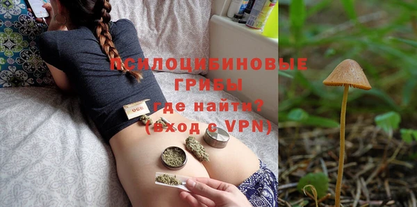 индика Заводоуковск