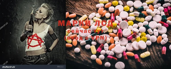 индика Заводоуковск
