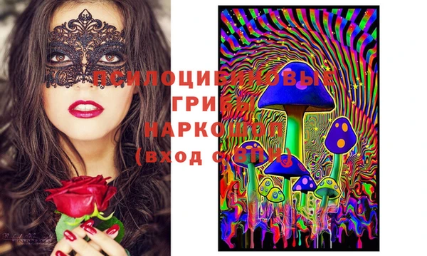 индика Заводоуковск