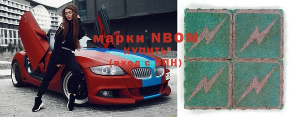 индика Заводоуковск
