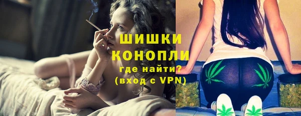 индика Заводоуковск