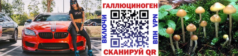 Псилоцибиновые грибы Psilocybine cubensis  Купить  Спасск-Рязанский 